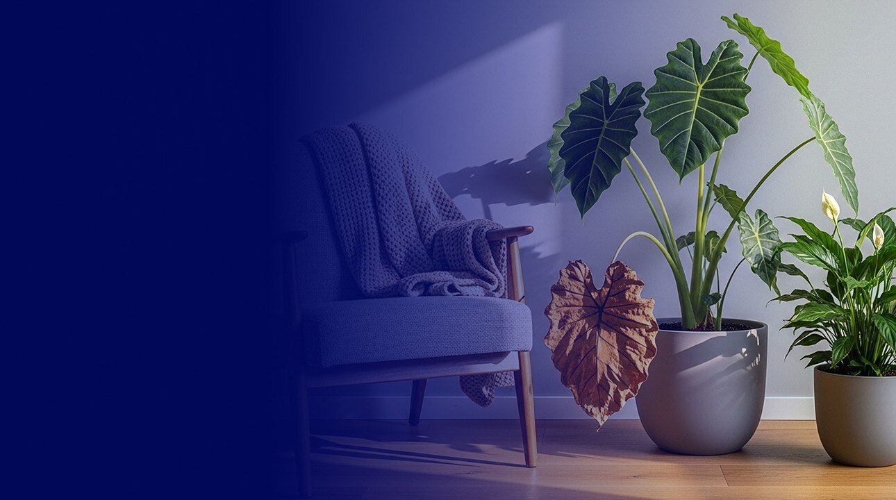 Ford Money zerbrochener Bleistift auf blauem Hintergrund