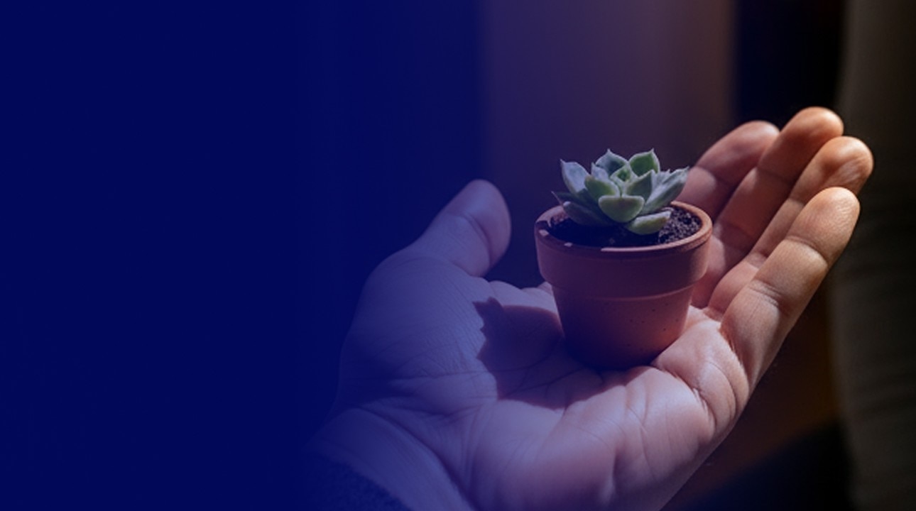 Ford Money Matrjoschka Puppe auf blauem Hintergrund